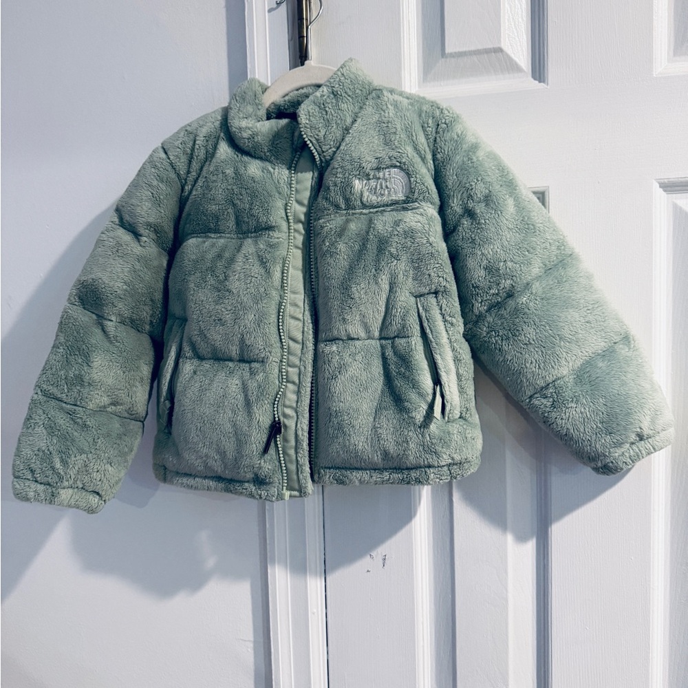 Northface 1996 Retro Nuptse Puffer Jacket